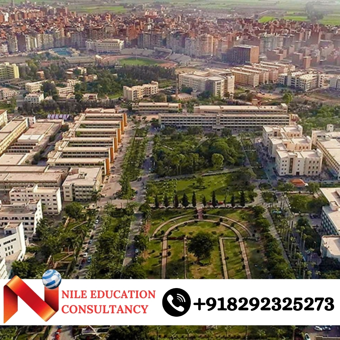 Mansoura University Hospital Training